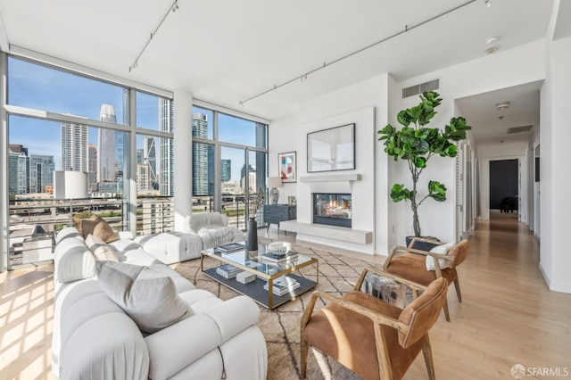 living room featuring a wall of windows and light hardwood / wood-style flooring