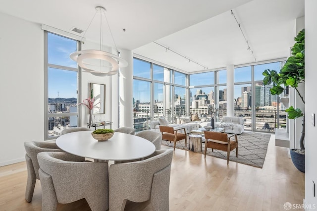 dining space with light hardwood / wood-style floors, plenty of natural light, and expansive windows