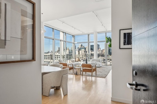 living room featuring light hardwood / wood-style flooring, expansive windows, and track lighting