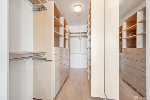 walk in closet with light hardwood / wood-style floors