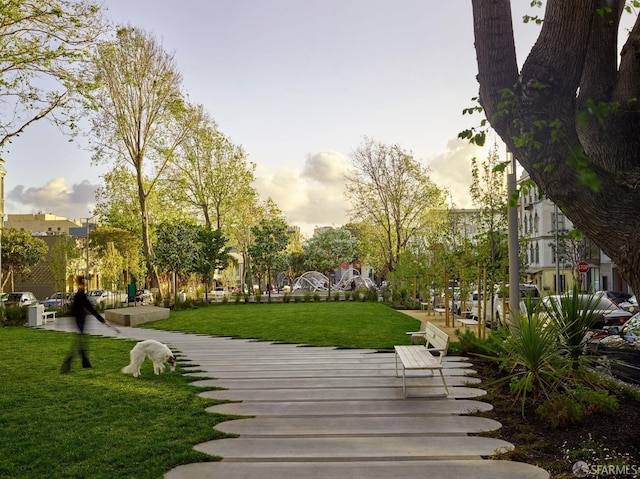 view of home's community with a yard