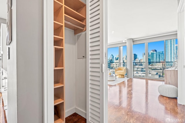 view of closet