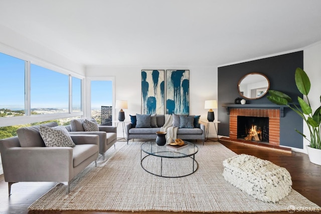 living room featuring wood finished floors and a fireplace