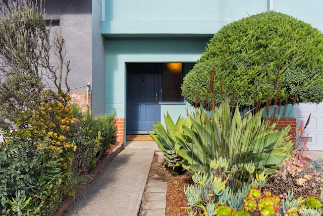 doorway to property featuring stucco siding