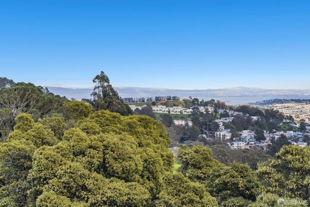 property view of mountains featuring a wooded view