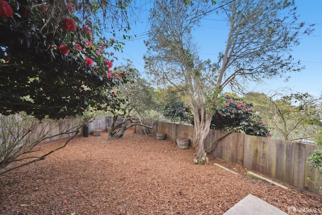 view of yard featuring a fenced backyard