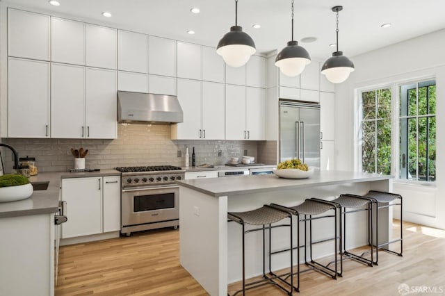 kitchen featuring under cabinet range hood, premium appliances, a sink, and light wood finished floors