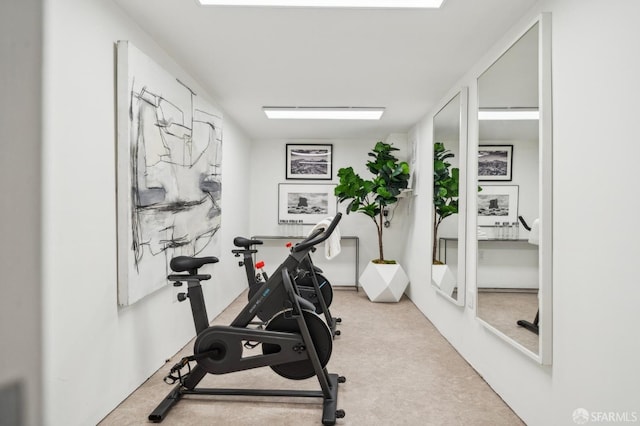 workout room with carpet floors