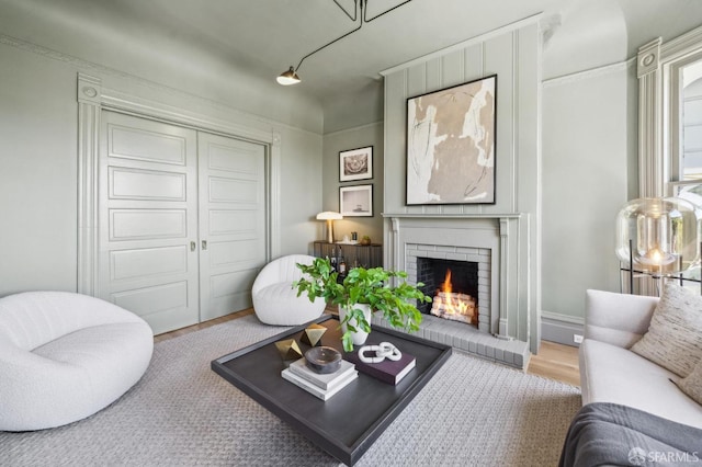 living area featuring wood finished floors and a fireplace