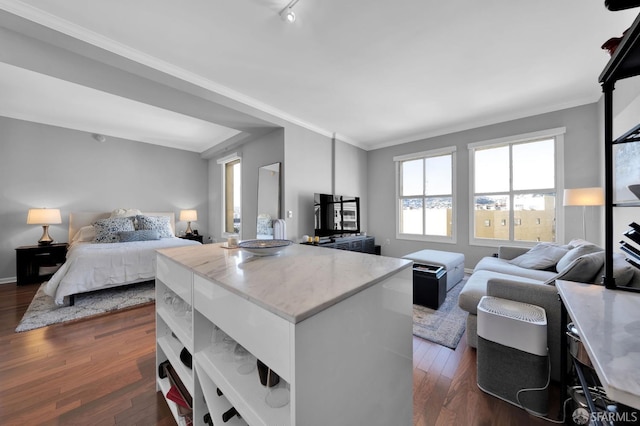 interior space featuring light countertops, open floor plan, dark wood-type flooring, and a center island