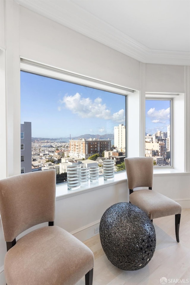 sitting room featuring a healthy amount of sunlight, a city view, baseboards, and wood finished floors