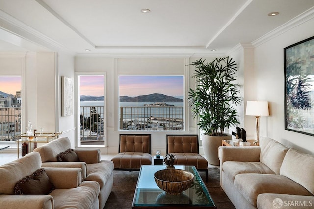 living room featuring a raised ceiling, ornamental molding, dark wood-type flooring, and a mountain view