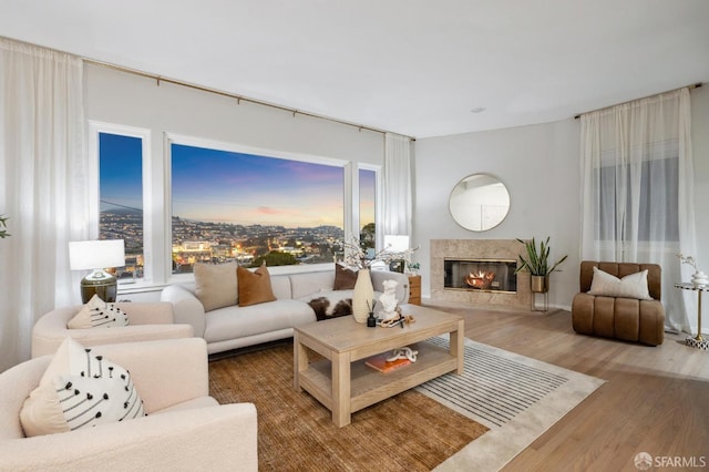 living room featuring wood finished floors and a premium fireplace