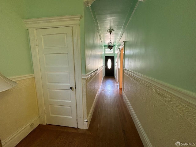 corridor featuring dark wood-style floors