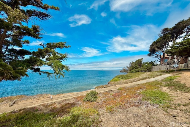 208 Palmetto Ave, Pacifica, CA 94044 - photo 45