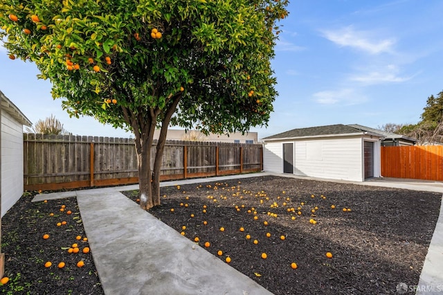 view of yard featuring an outbuilding, a patio, and a fenced backyard