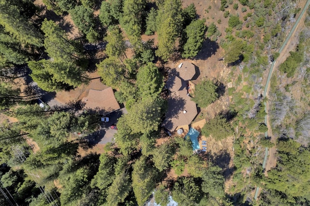 2110 King Of The Mountain Rd, Pollock Pines, CA 95726 - photo 53