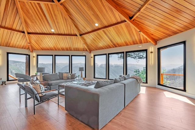 living room with a mountain view, light hardwood / wood-style flooring, and high vaulted ceiling