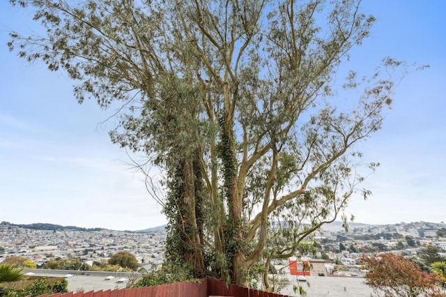 view of yard with a mountain view