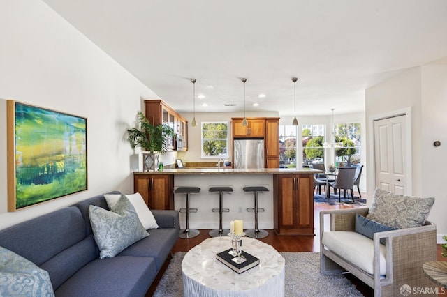 living room with dark hardwood / wood-style flooring and sink