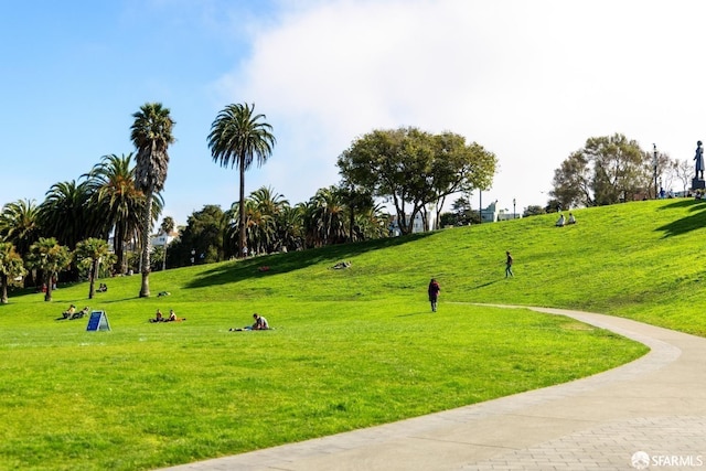 view of home's community with a yard