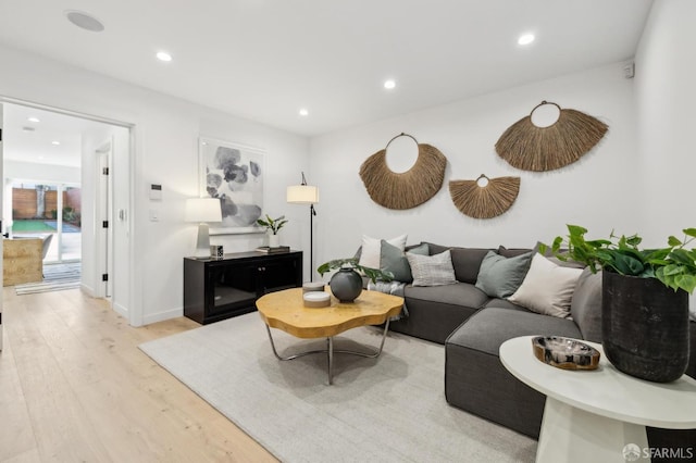 living room with light hardwood / wood-style flooring