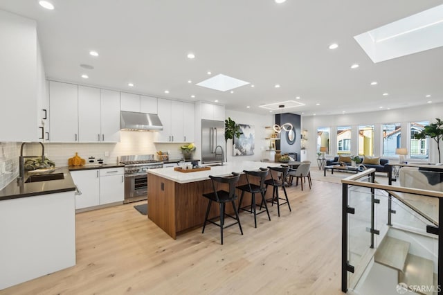 kitchen featuring sink, a skylight, high end appliances, and a large island with sink