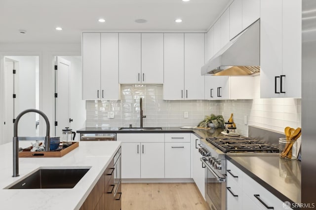 kitchen with sink, white cabinets, high end stainless steel range oven, and tasteful backsplash