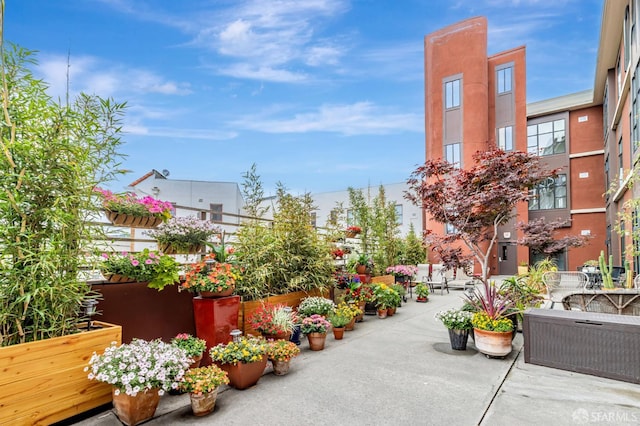 3801 San Pablo Ave Unit 312, Emeryville, CA 94608 - photo 22