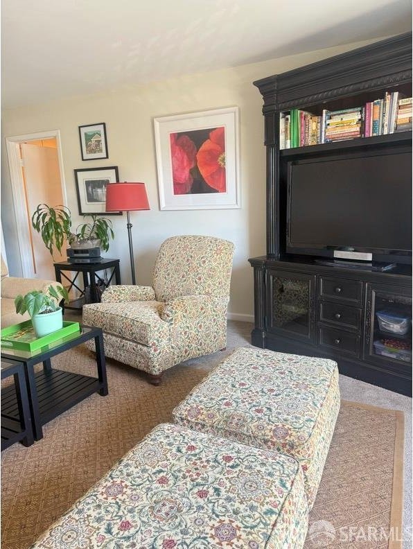 800 N Delaware St Unit 316, San Mateo, CA 94401 - living room with carpet floors and baseboards
