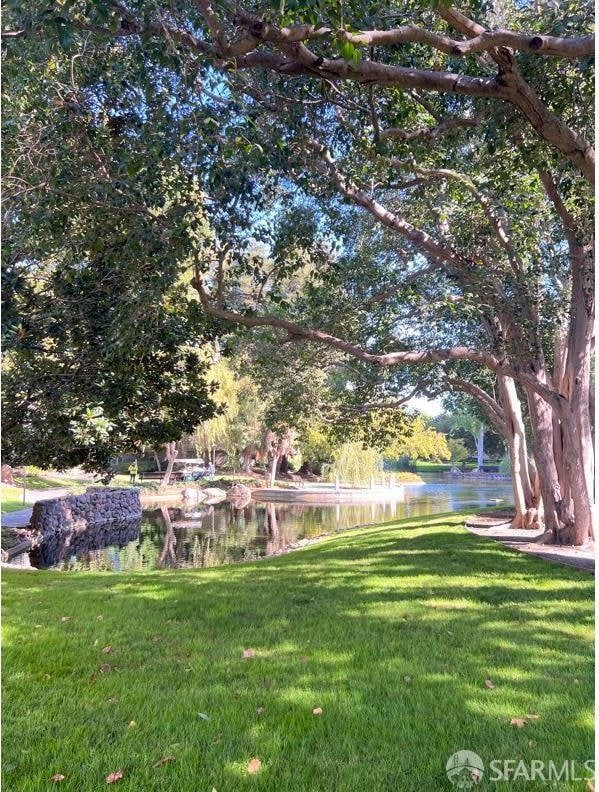 800 N Delaware St Unit 316, San Mateo, CA 94401 - view of green lawn featuring a water view