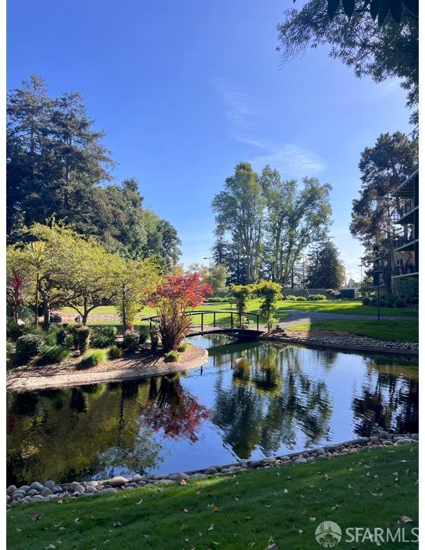 800 N Delaware St Unit 316, San Mateo, CA 94401 - water view