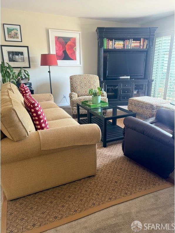 800 N Delaware St Unit 316, San Mateo, CA 94401 - living area with carpet floors