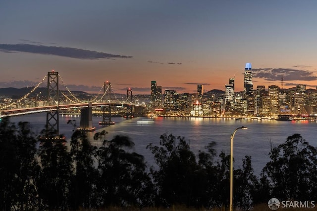 water view featuring a city view