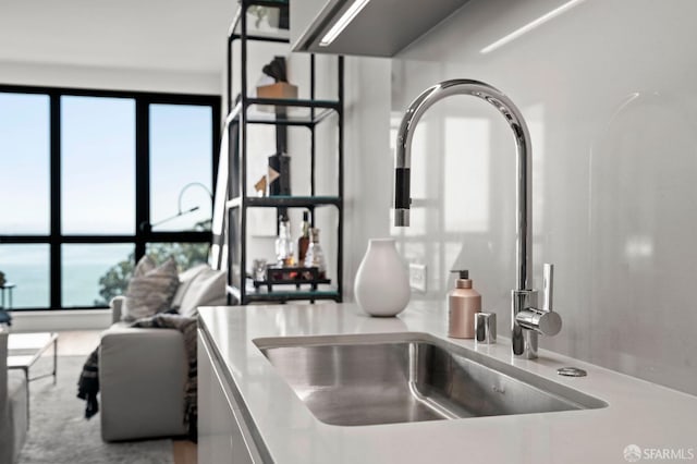 interior details featuring a sink