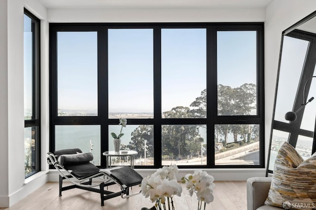 interior space featuring hardwood / wood-style flooring, a water view, and a wealth of natural light