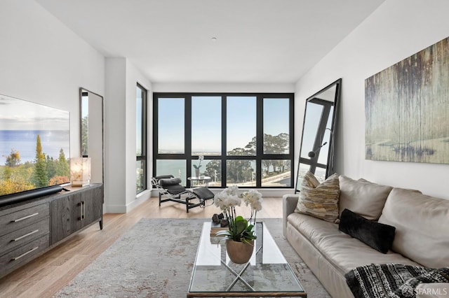 living room with a water view and light hardwood / wood-style flooring