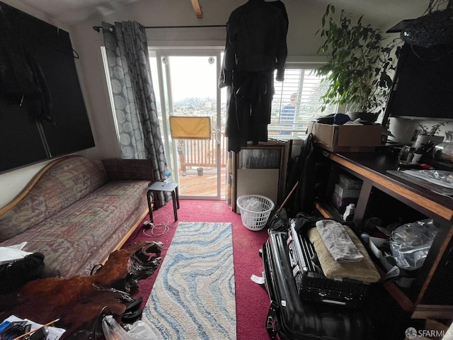 view of carpeted living room