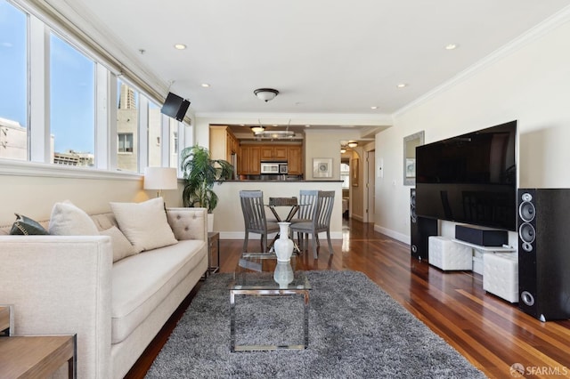 living room featuring dark hardwood / wood-style floors and ornamental molding