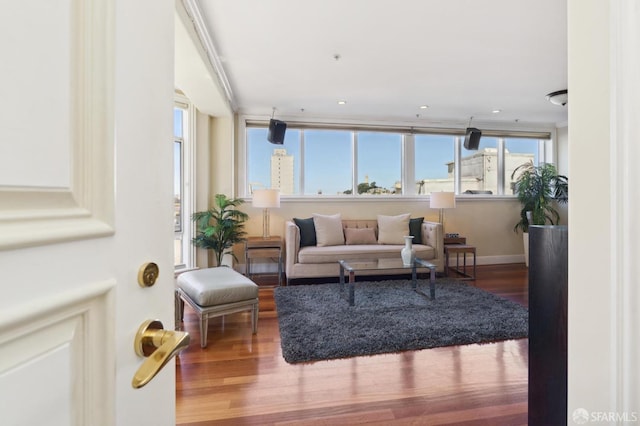 living room featuring hardwood / wood-style flooring