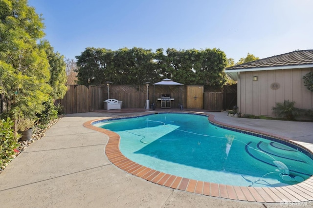 view of swimming pool featuring a patio area