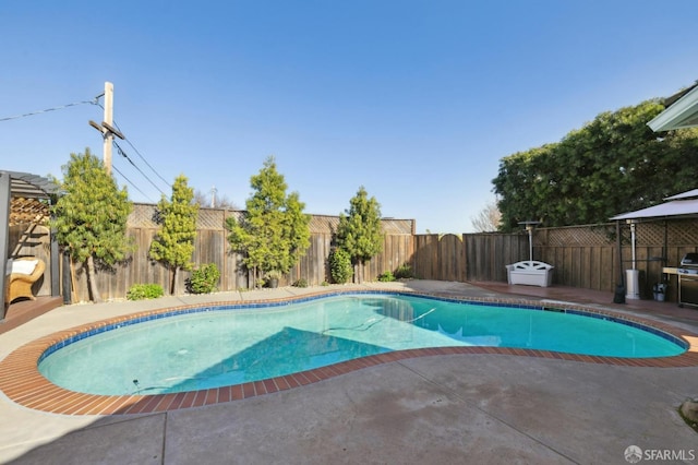 view of swimming pool featuring a patio area