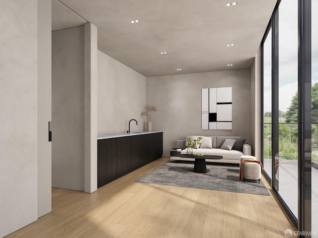 living room featuring floor to ceiling windows, sink, and light wood-type flooring