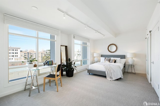 carpeted bedroom with multiple windows and rail lighting