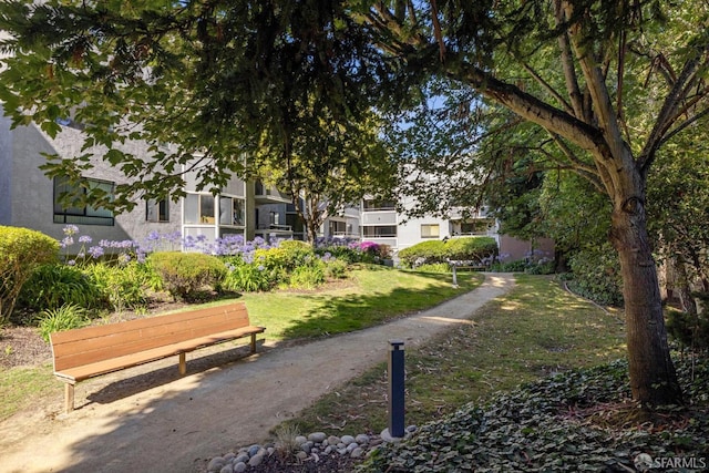 1839 15th St Unit 253, San Francisco, CA 94103 - photo 21
