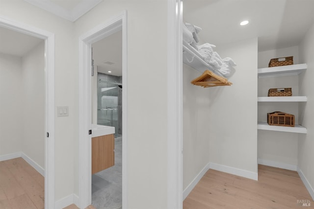 spacious closet with light wood-type flooring