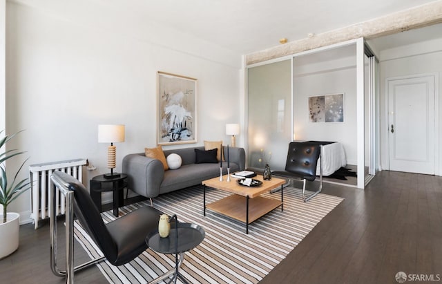 living room featuring dark wood-type flooring