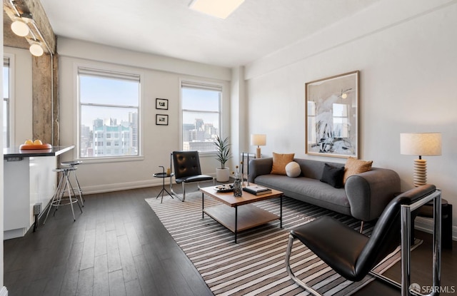 living room with dark wood-type flooring