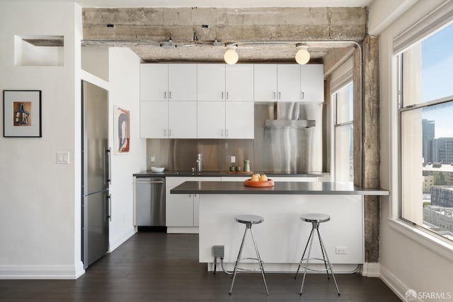 kitchen featuring white cabinets, appliances with stainless steel finishes, dark hardwood / wood-style flooring, and a healthy amount of sunlight