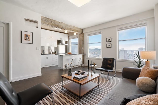 living room featuring dark wood-type flooring